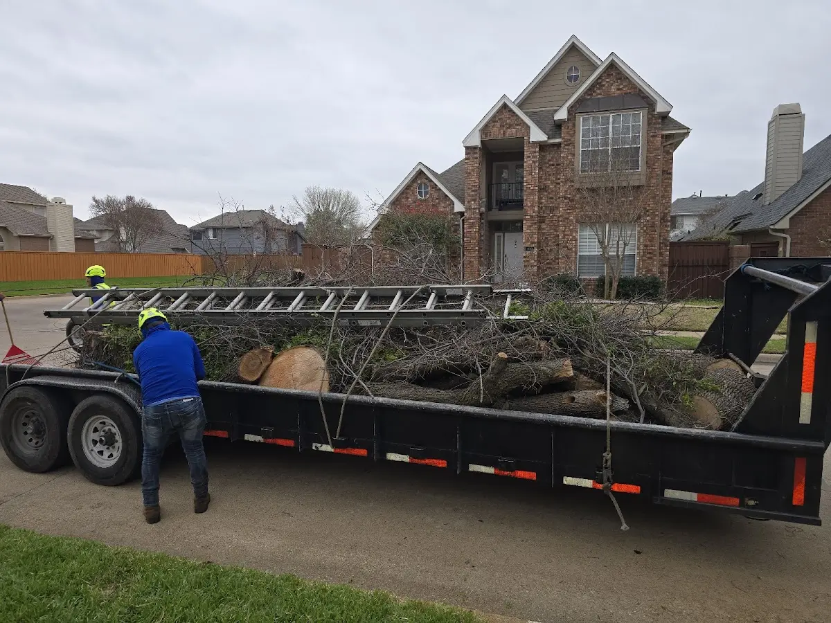 Expert Tree Removal with proper safety equipment in Parryville